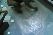 Epoxy Floor Patch Work